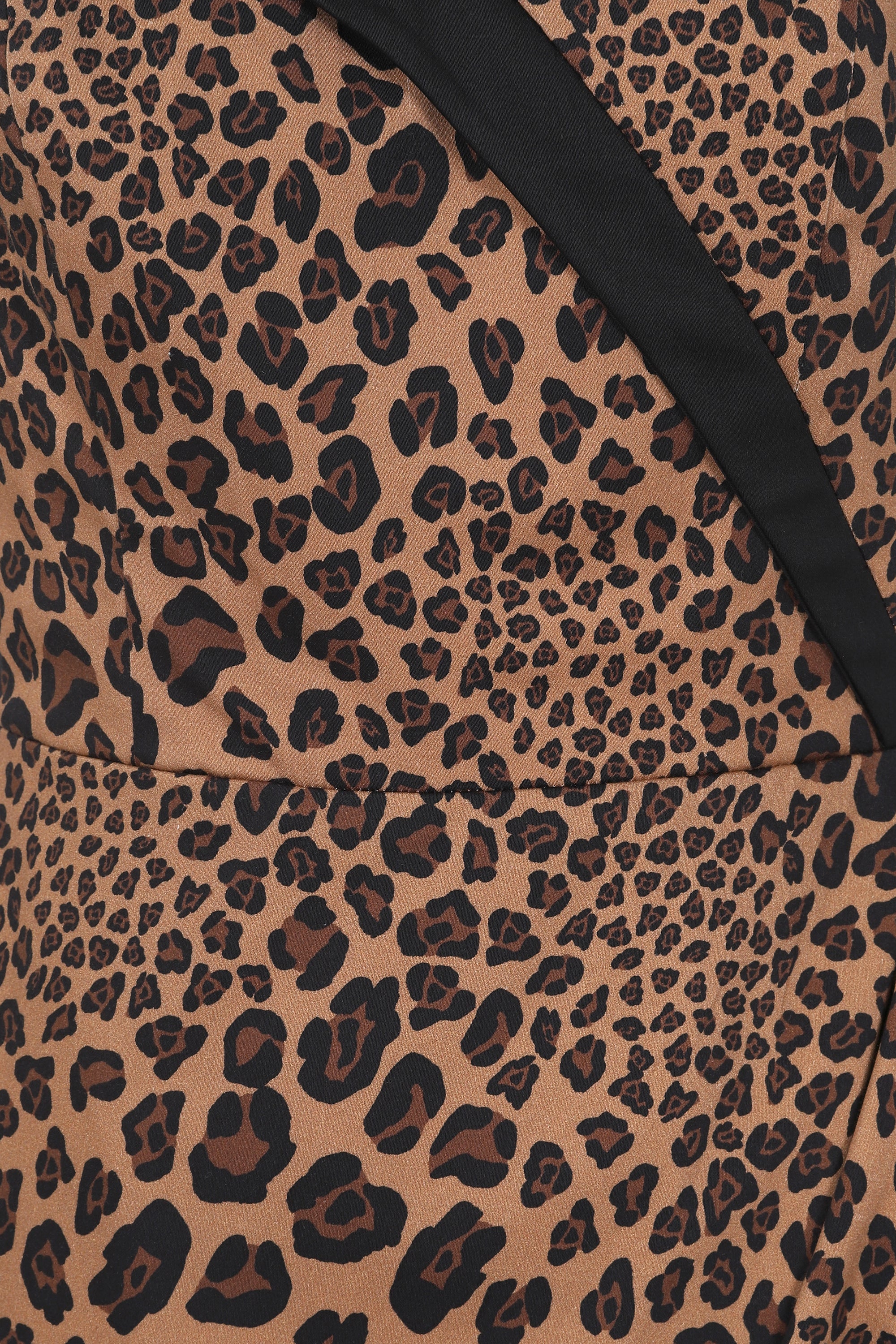 Lorna Leopard Print Pencil Dress